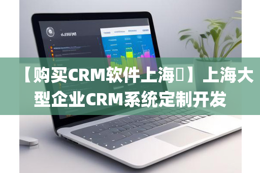 【购买CRM软件上海​】上海大型企业CRM系统定制开发