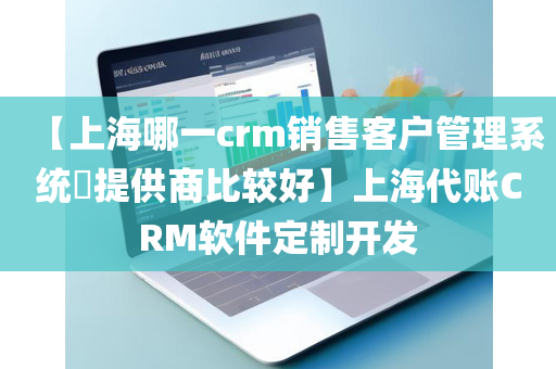 【上海哪一crm销售客户管理系统​提供商比较好】上海代账CRM软件定制开发